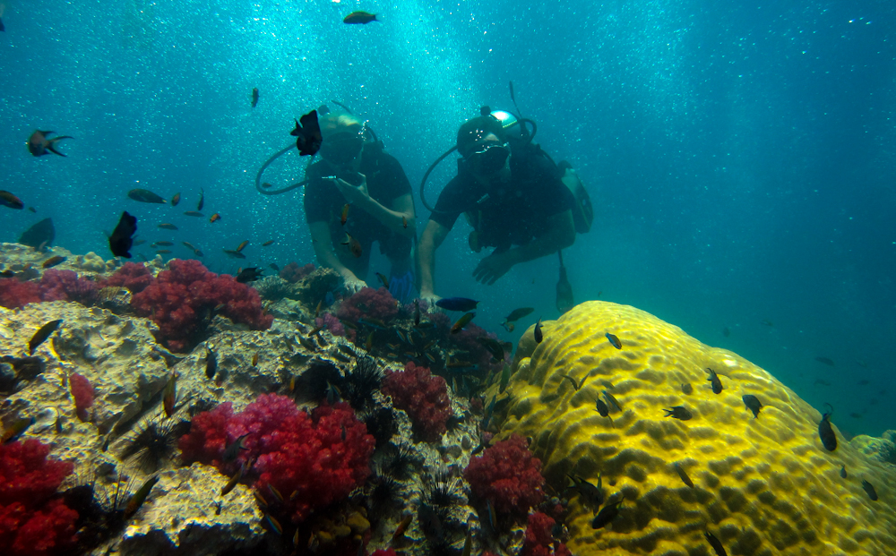 Пхукет + дайвинг, Краби, Бангкок, фото